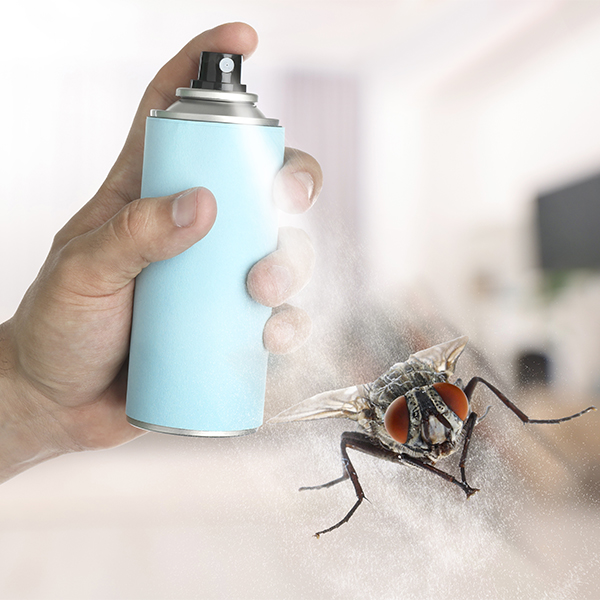 Il mio account | Fai Da Pest vende direttamente online prodotti e insetticidi per permetterti di liberare la tua casa da ogni insetto